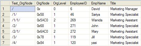 hierarchyid05.jpg